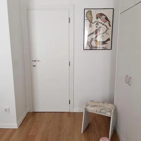 Summertime In Apartment *
