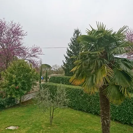 Summertime In Apartment Porec