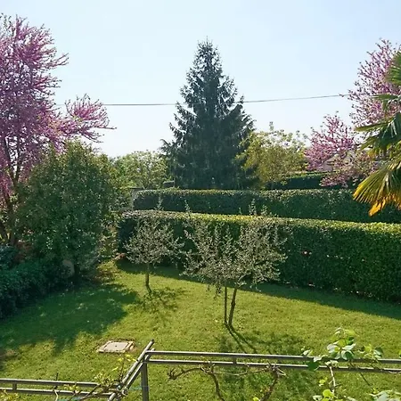 Summertime In
